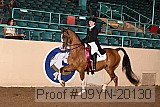 09yn-20130 proof