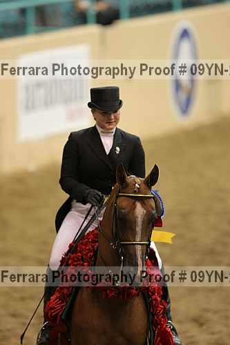 Proof 09yn-20131