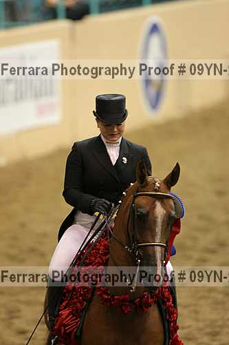 Proof 09yn-20132