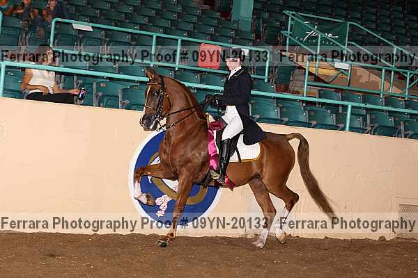 Proof 09yn-20133
