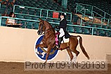 09yn-20133 proof