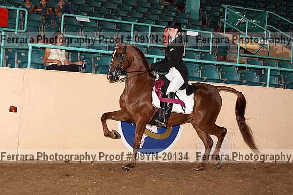 Proof 09yn-20134