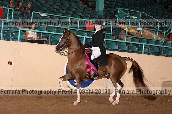 Proof 09yn-20135