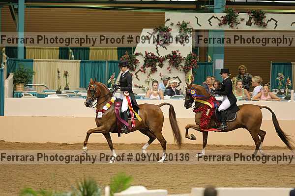 Proof 09yn-20136