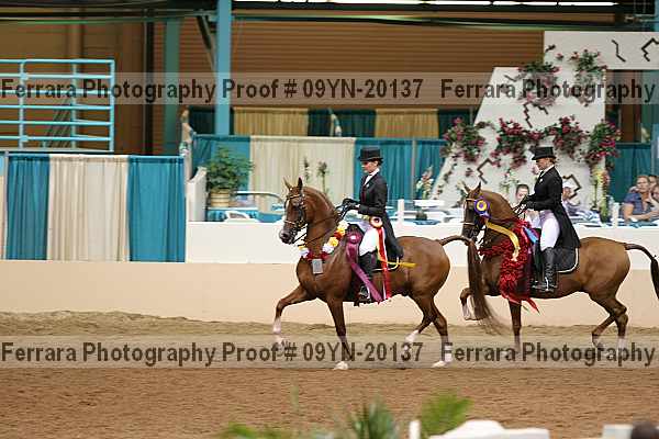 Proof 09yn-20137