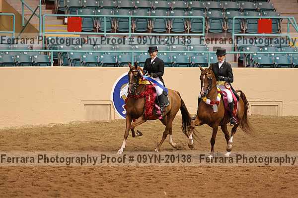 Proof 09yn-20138