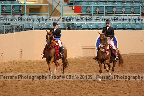 Proof 09yn-20139