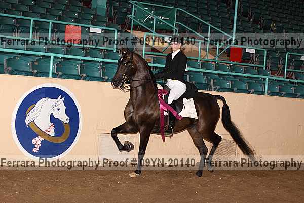 Proof 09yn-20140
