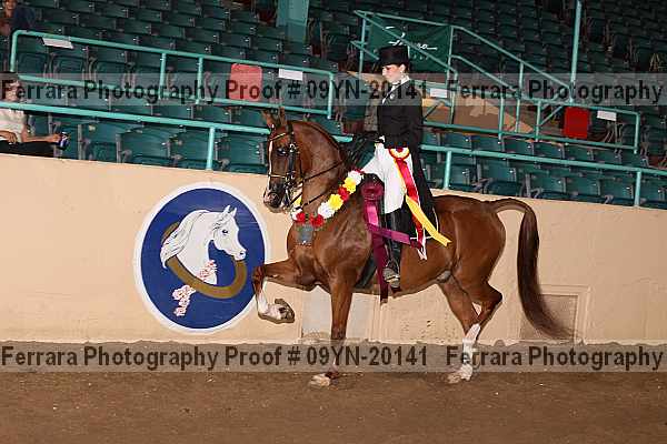 Proof 09yn-20141