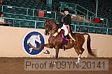 09yn-20141 proof