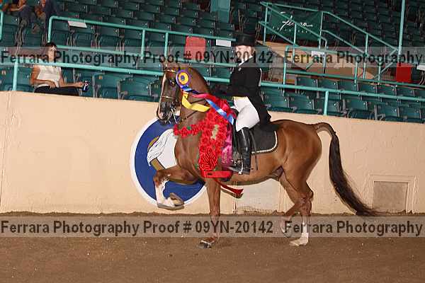 Proof 09yn-20142