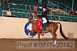 09yn-20142 proof