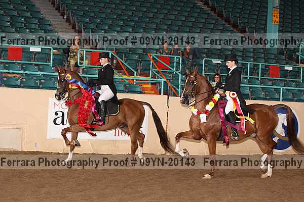 Proof 09yn-20143