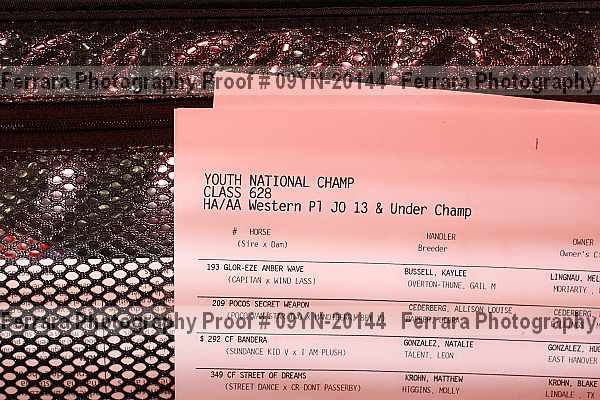 Proof 09yn-20144