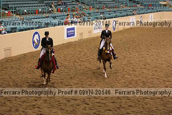 Proof 09yn-20146