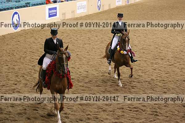 Proof 09yn-20147