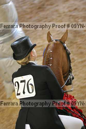 Proof 09yn-20148