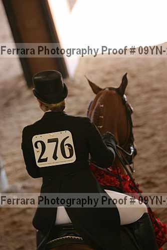 Proof 09yn-20151