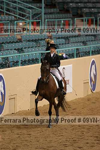 Proof 09yn-05183