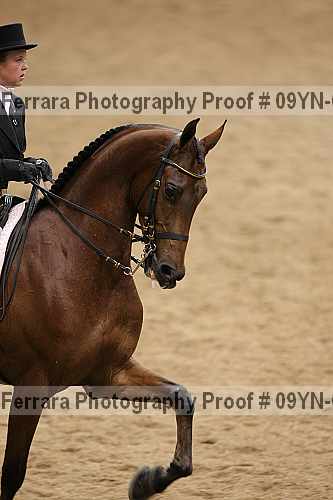 Proof 09yn-05184