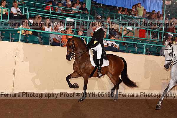 Proof 09yn-05190