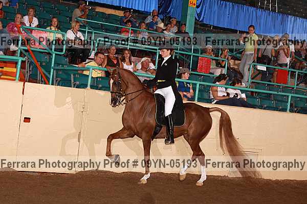 Proof 09yn-05193