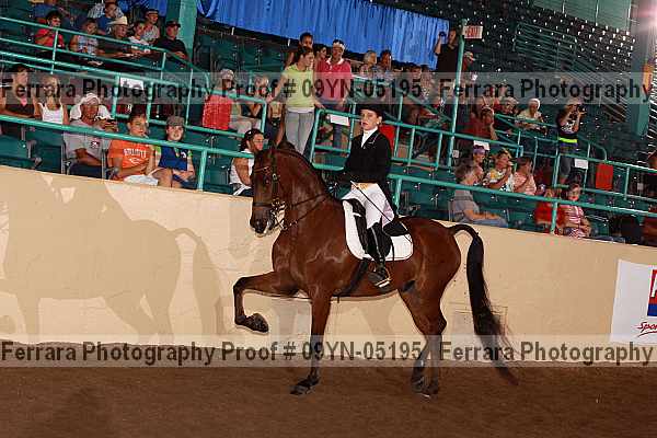 Proof 09yn-05195