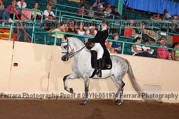 Proof 09yn-05197