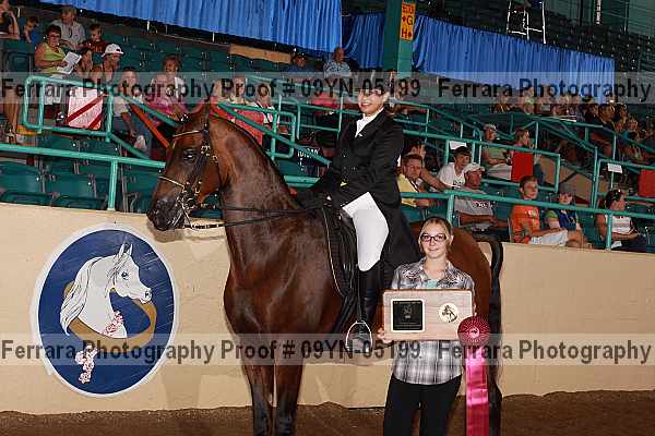 Proof 09yn-05199