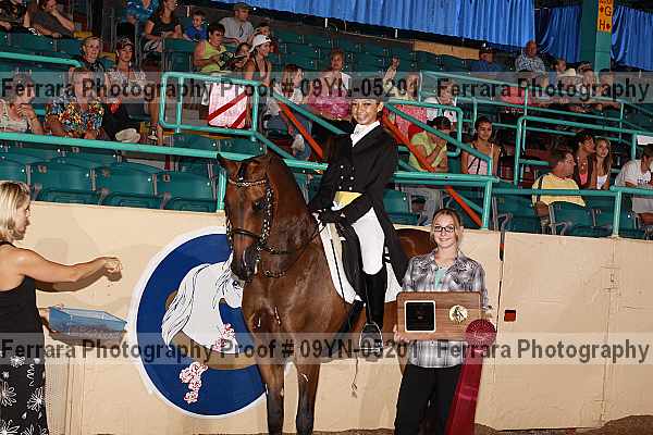 Proof 09yn-05201