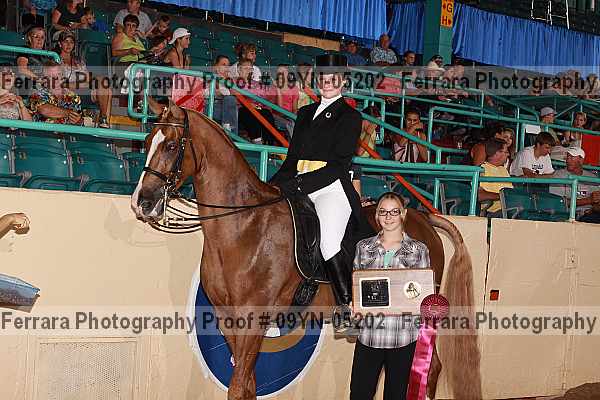 Proof 09yn-05202