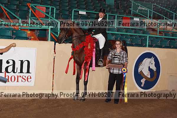 Proof 09yn-05207