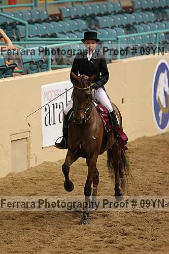 Proof 09yn-05209
