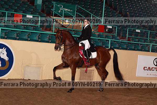 Proof 09yn-05219