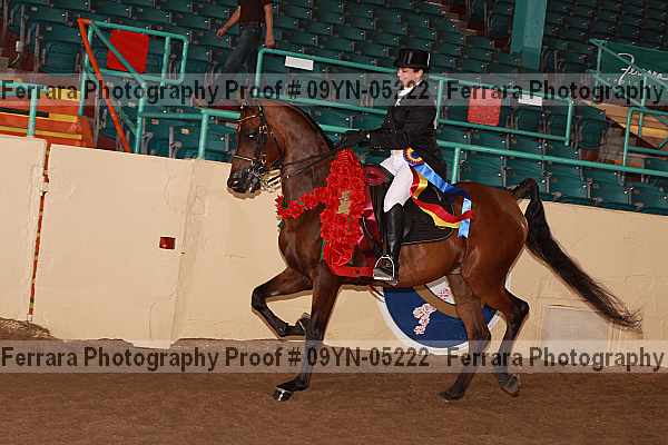 Proof 09yn-05222