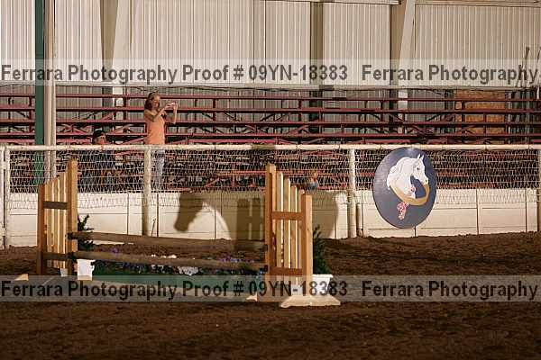 Proof 09yn-18383