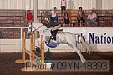 09yn-18393 proof