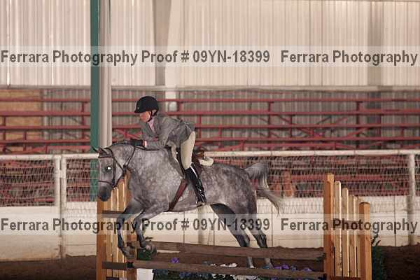 Proof 09yn-18399