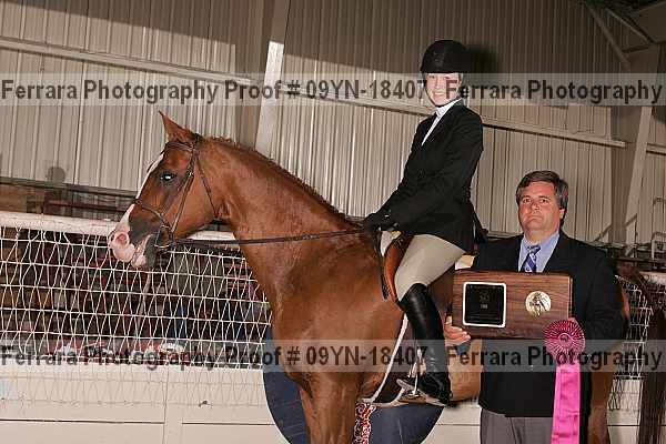Proof 09yn-18407