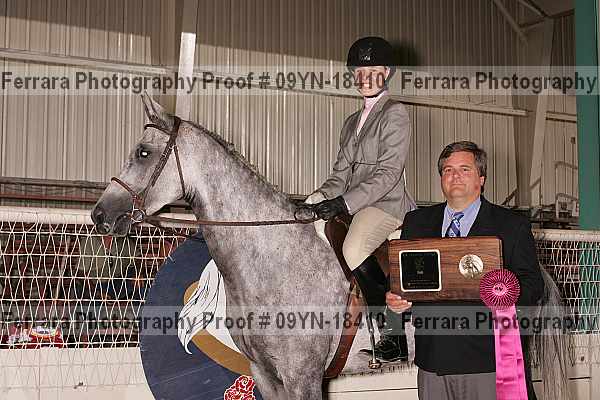 Proof 09yn-18410