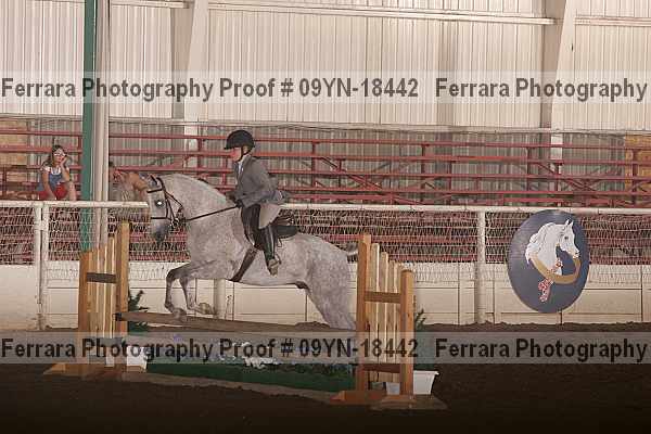 Proof 09yn-18442