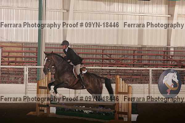 Proof 09yn-18446