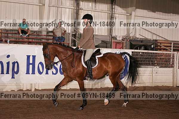 Proof 09yn-18469
