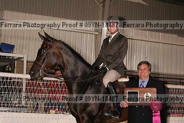 Proof 09yn-18487