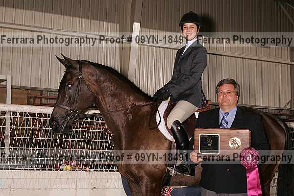 Proof 09yn-18491