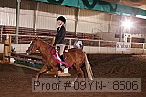 09yn-18506 proof