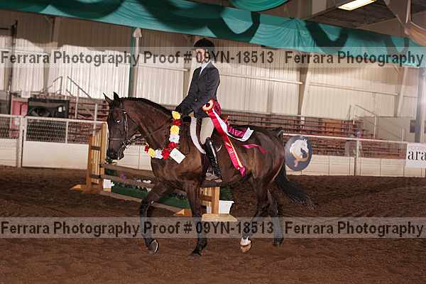 Proof 09yn-18513