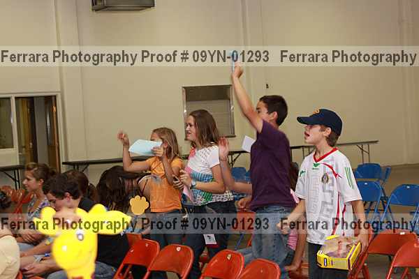 Proof 09yn-01293