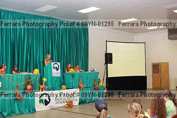 Proof 09yn-01295