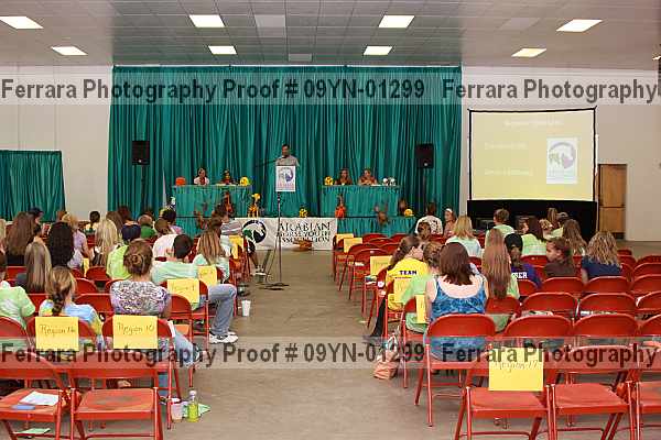 Proof 09yn-01299